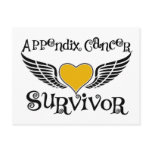 Appendix Cancer Survivor