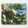 Apple A Day Squirrel