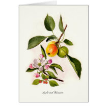 Apple and Blossom Greeting Cards