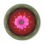 apple and daisy magnets