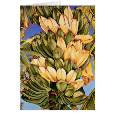 Apple Bananas Cards by joeyartist
