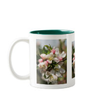 Apple blossom - a touch of spring mug