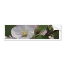 apple blossom and a lady bug bumper sticker