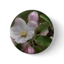 apple blossom and a lady bug pinback button