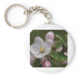 apple blossom and a lady bug keychain