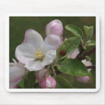 apple blossom and a lady bug mouse pad