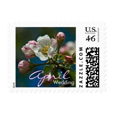 Apple Blossom • April Wedding Stamp by SabineStGreetings