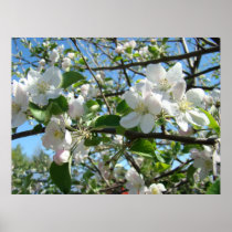 Apple Blossom Art Print Gift Valentine's Day Art