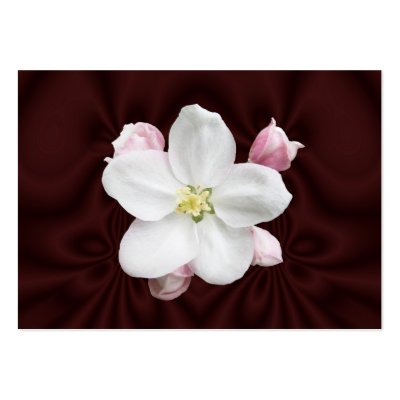 Apple Blossom ~ ATC Business Card Templates by Andy2302