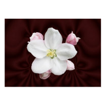 Apple Blossom ~ ATC Business Card Templates