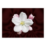 Apple Blossom ~ ATC business cards