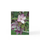 Apple Blossom Birthday Card