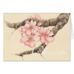 Apple Blossom Branch cards