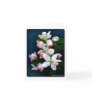 Apple Blossom Branch Card