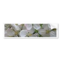 Apple Blossom Bumper Sticker