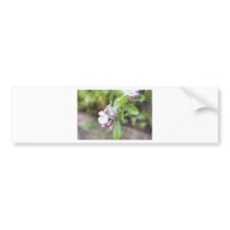 apple blossom bumper stickers