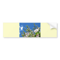 Apple Blossom Bumper Sticker