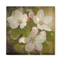 Apple Blossom Cluster magnet