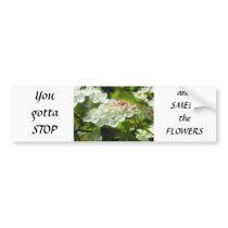Apple Blossom Clusters Bumper Sticker