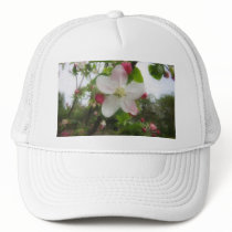 Apple Blossom