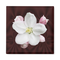 Apple Blossom ~ magnet