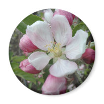 Apple Blossom Refrigerator Magnet