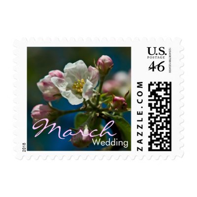 Apple Blossom • March Wedding Stamp by SabineStGreetings