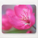 Apple Blossom Mousepad