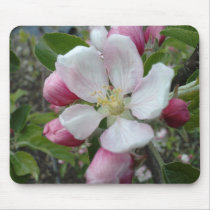 Apple Blossom Mousemats