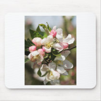 Apple blossom mouse mats