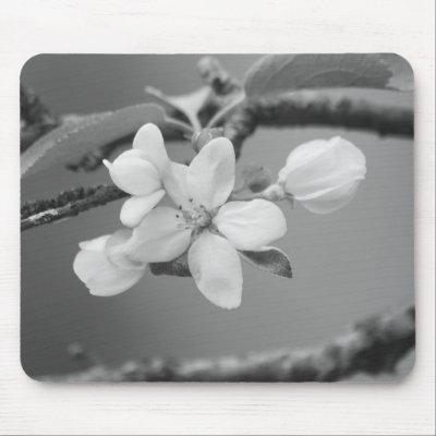 Apple Blossom Mousepad by VermontRetroArt