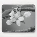 Apple Blossom mousepads