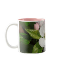 Apple Blossom Mug