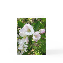 Apple Blossom Note Card
