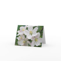 Apple Blossom Note Card