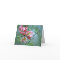 Apple Blossom #P0356 Card