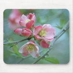 Apple Blossom #P0356 Mousepad
