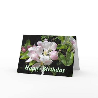 Apple Blossom Palest Pink Birthday Greeting Cards by PinkBlossomBlueSky
