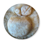 Apple Blossom Pie Fridge Magnet
