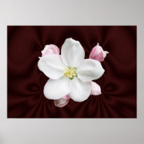 Apple Blossom ~ print