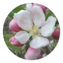 Apple Blossom Round Sticker