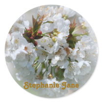 Apple Blossom Stickers