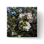 Apple Blossom Time Pinback Button
