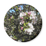 Apple Blossom Time Refrigerator Magnet