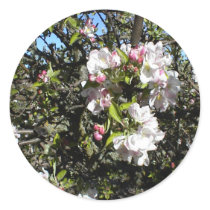 Apple Blossom Time Round Sticker
