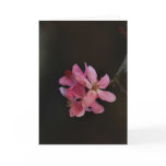 Apple Blossoms and their meaning Greeting Card