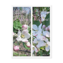 APPLE BLOSSOMS BOOKMARKS POST CARD