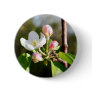 Apple Blossoms Buttons