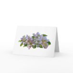 Apple Blossoms cards