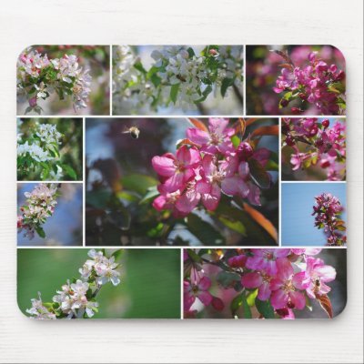 Apple Blossoms Collage Mousepad by catherinesherman